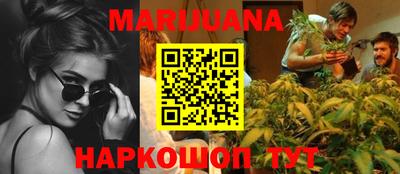 мяу мяу мука Кандалакша