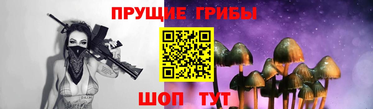 Корсаков  Псилоцибиновые грибы Magic Shrooms  Галлюциногенные грибы Psilocybine cubensis  Вход с VPN 